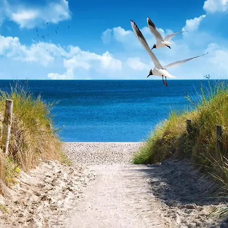 Coastal Wellness House Fuer 8 Personen * Großenbrode